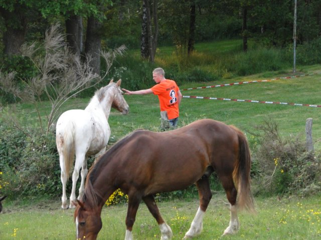 2014HWK 098.jpg